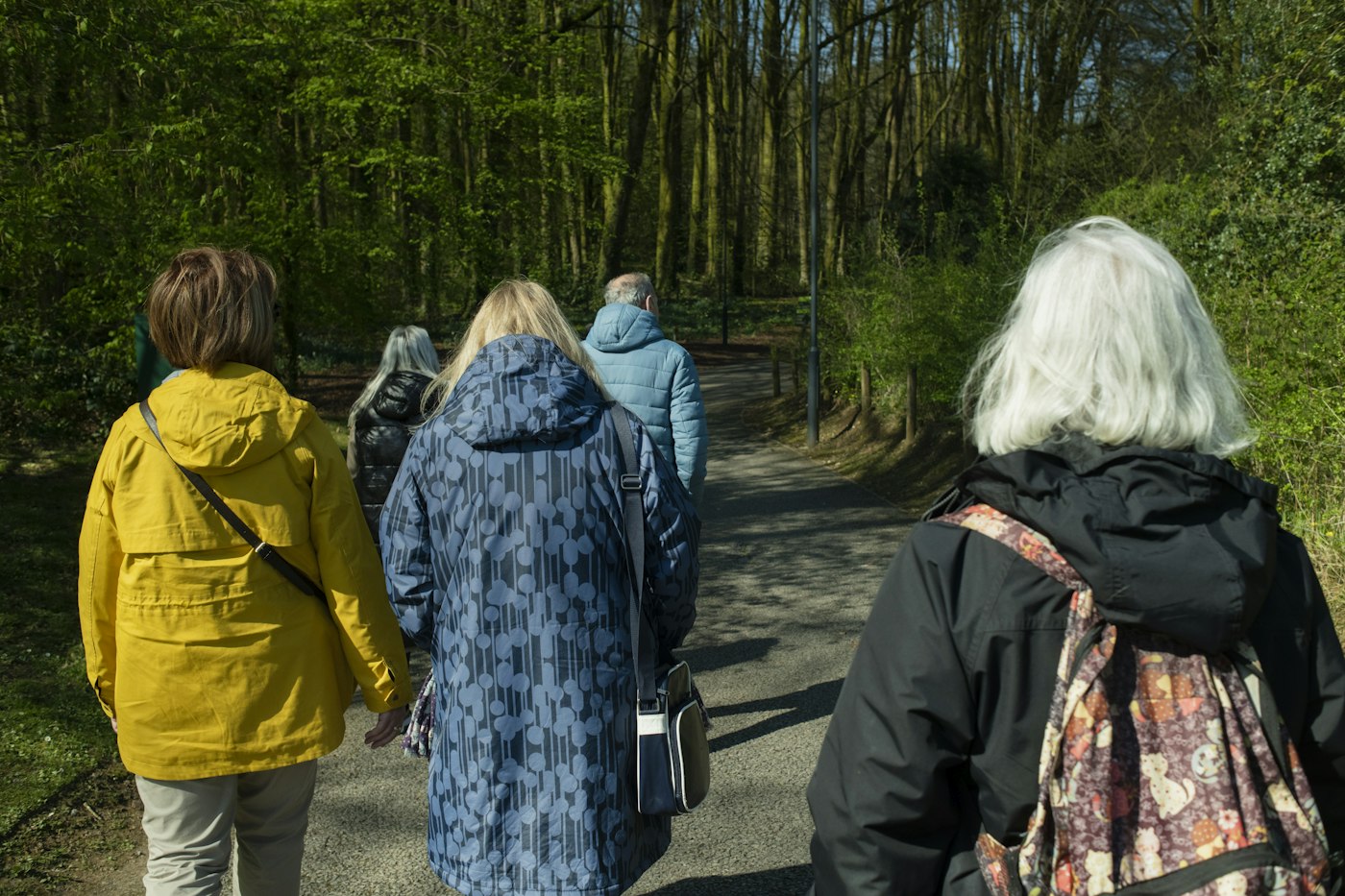 Friends of different ages walking together on a quiet forest path in spring sunshine.